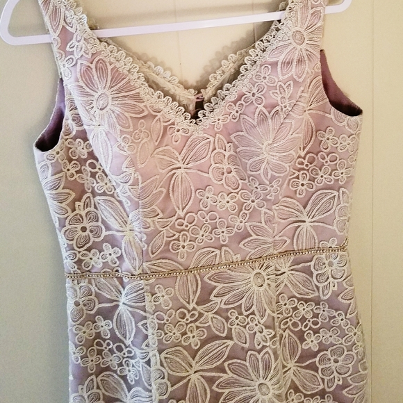 JS Collections Dresses & Skirts - Beautiful Dress, Size 12